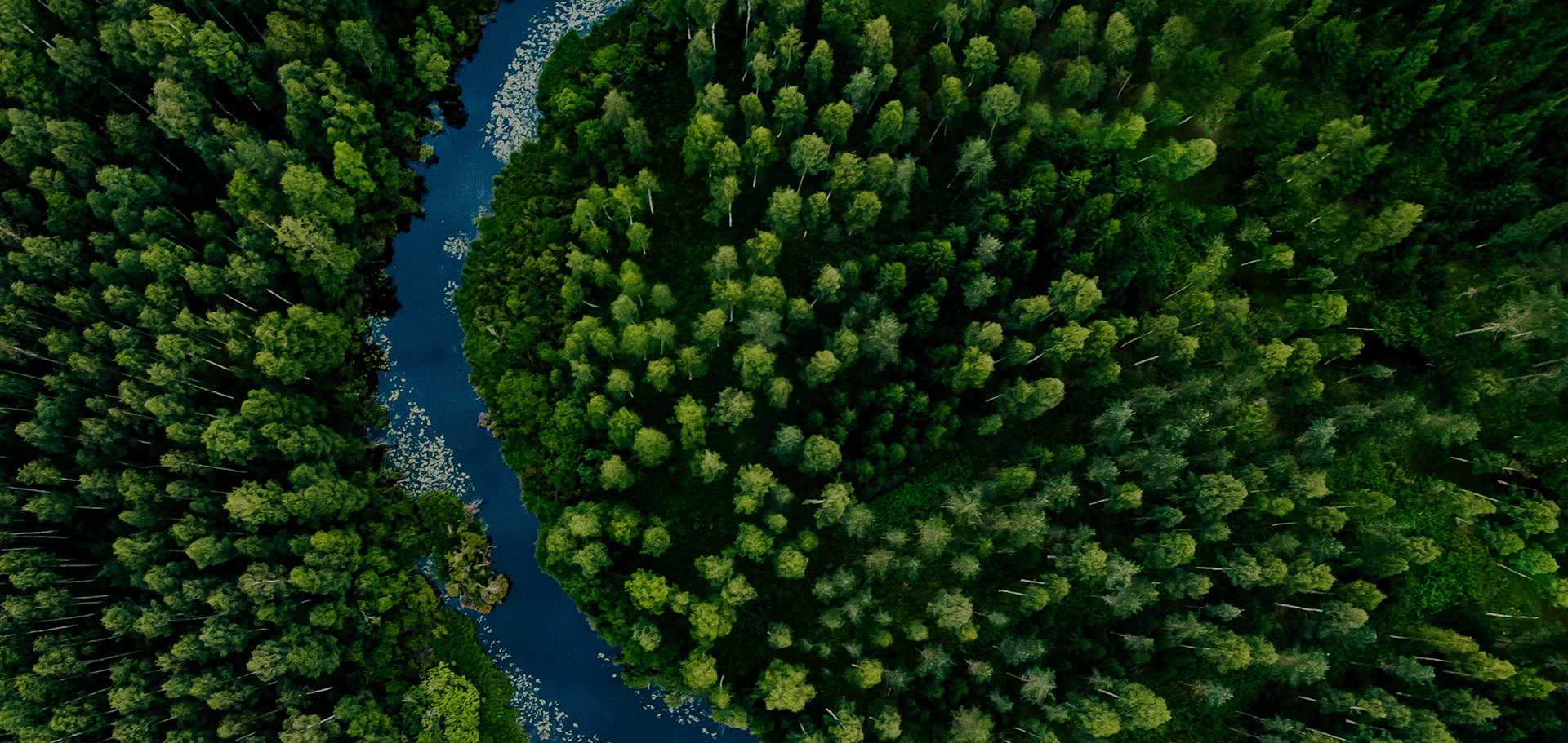 parallax background