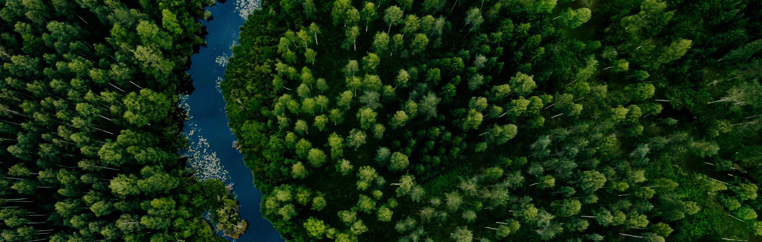 parallax background