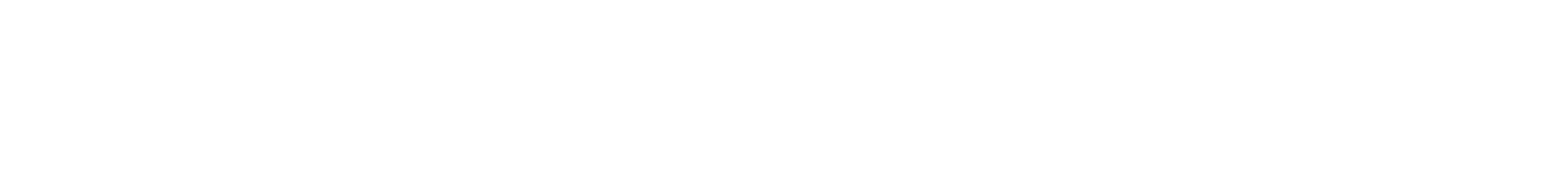 Protex SL logo